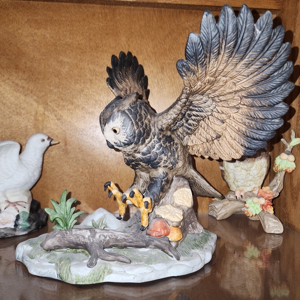 Beautiful outstretch wing Owl Wellington